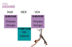 YOGA Lezione di prova- Vinyasa o Yin 