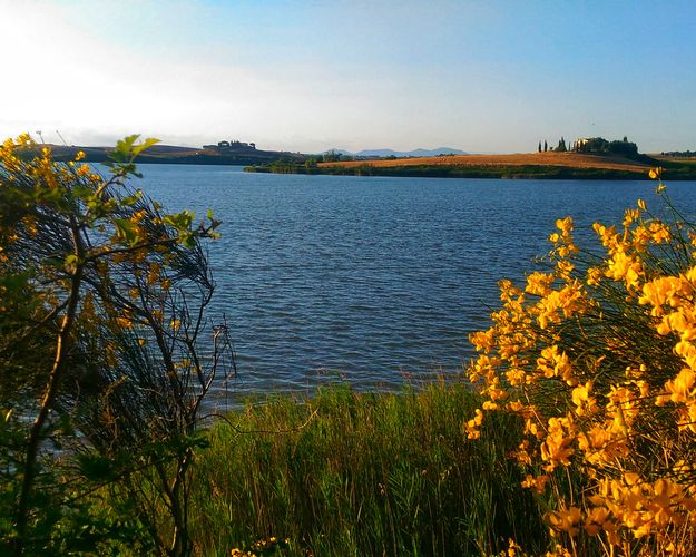 I campi di lavanda e il Lago di Santa Luce