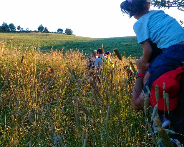 I campi di lavanda e il Lago di Santa Luce