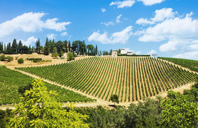 Cammino del Chianti