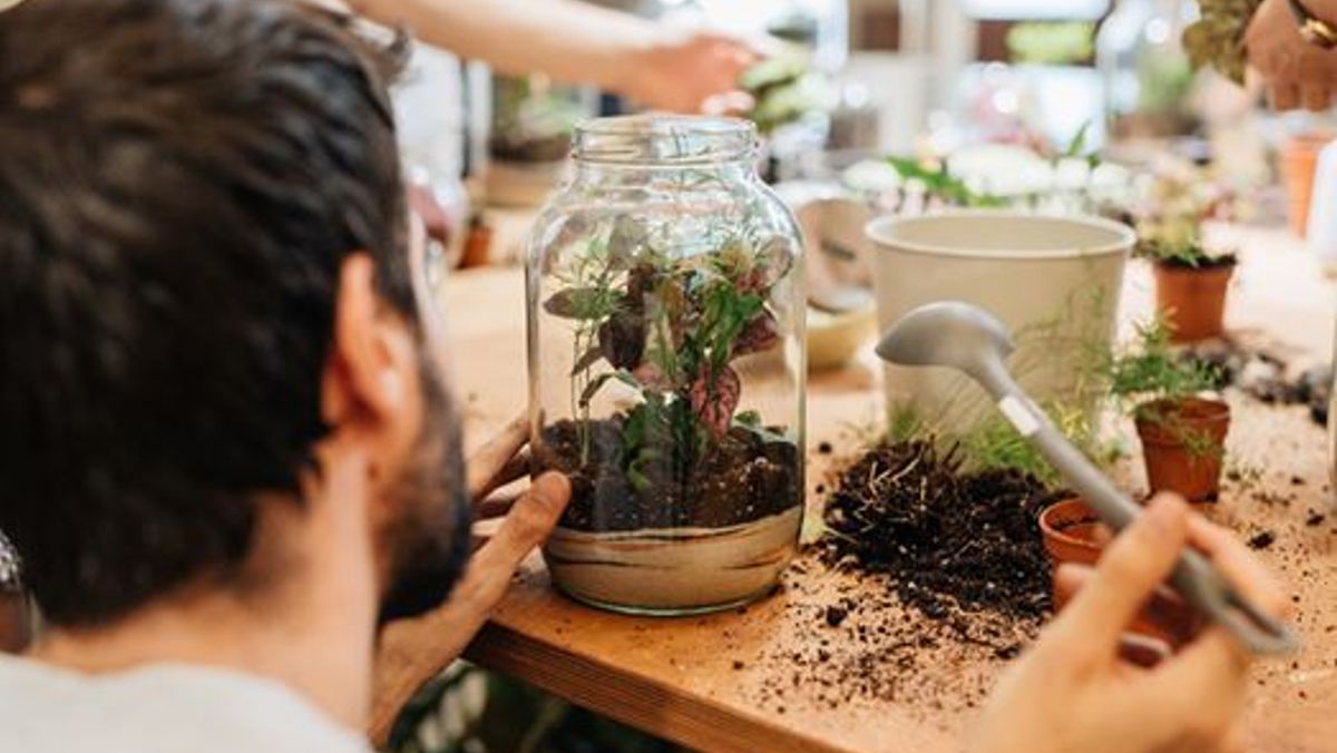 Workshop Terrarium 