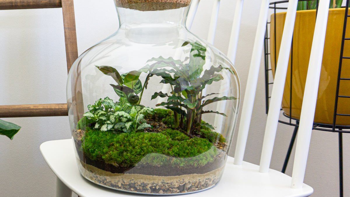 Workshop Terrarium 