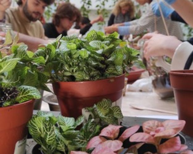 Workshop Terrarium +Degustazione tè giapponese 