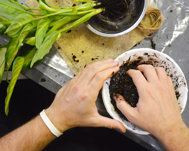 Workshop kokedama 