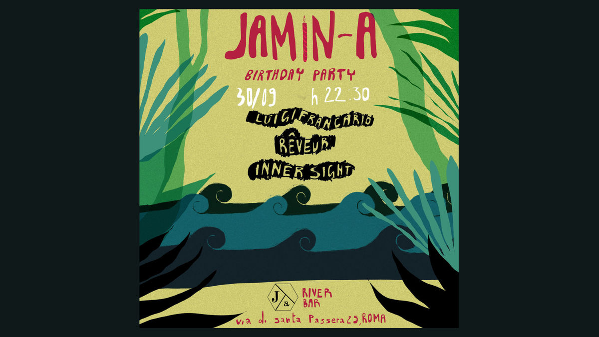 Jamin-a Birthday Party