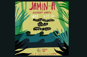 Jamin-a Birthday Party