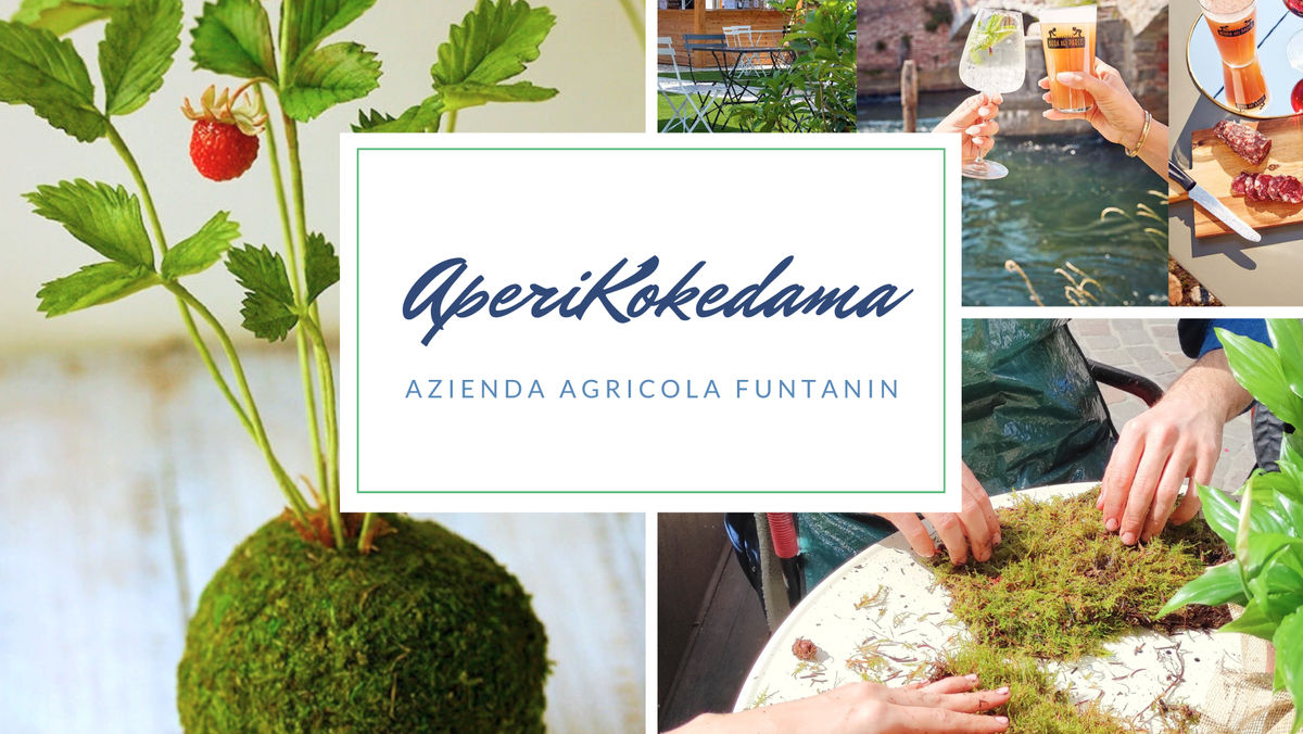 Workshop AperiKokedama