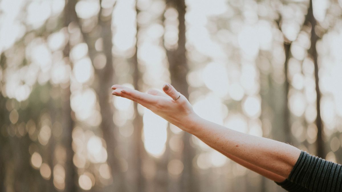 YOGA al PARCO