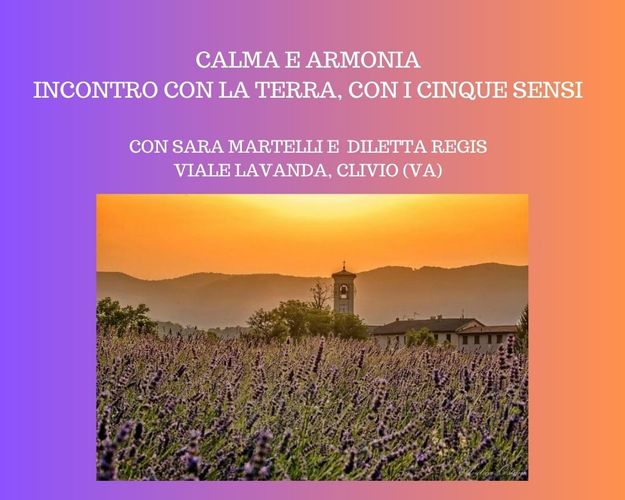 Yoga tra i campi di lavanda con bagno sonoro