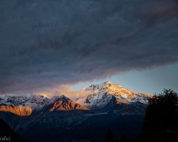 BRAMITO DEL CERVO NEL PARCO DELLO STELVIO ESPERIENZA NATURALISTICA e FOTOGRAFICA