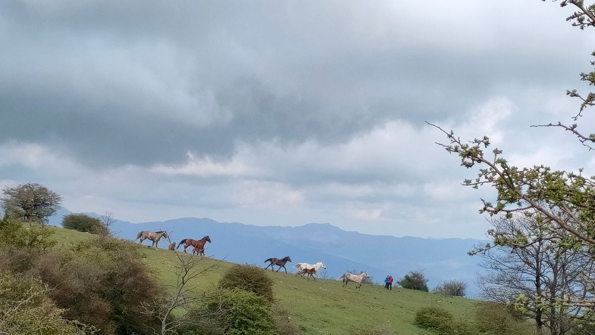 In cammino verso Valibona