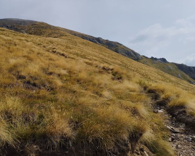 Notte al Rifugio Grassi e vetta Pizzo Tre Signori