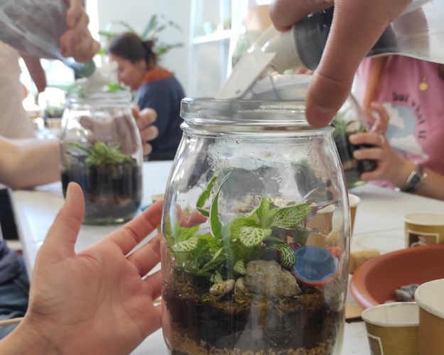 Workshop Terrarium 