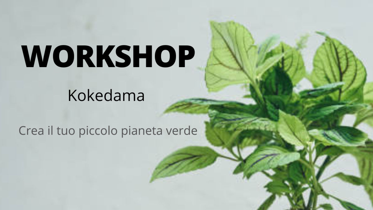 Workshop Kokedama 