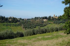 Certaldo Trek and Wine