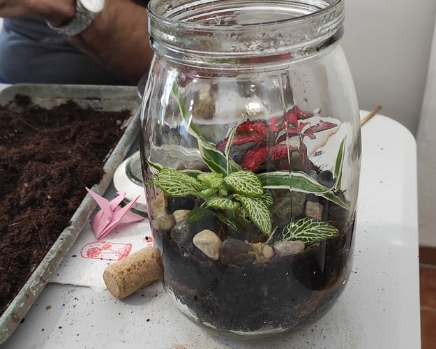 Workshop Terrarium 