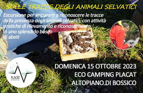 SULLE TRACCE DEGLI ANIMALI SELVATICI