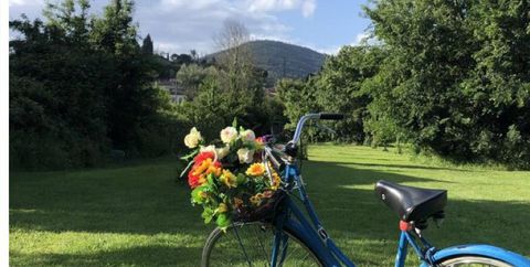 Il Giardino di Laura