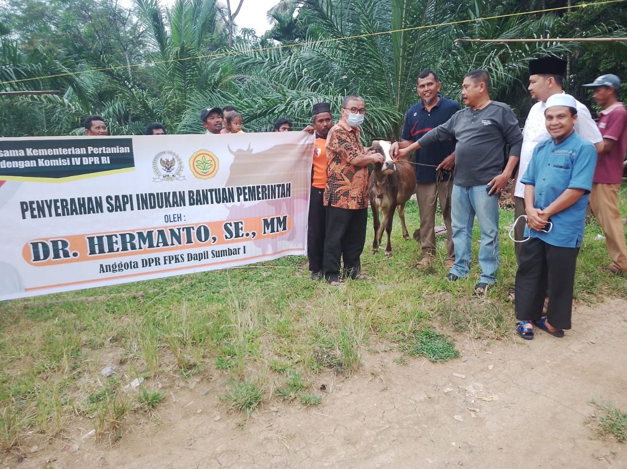 Kunjungi Sijunjung Hermanto Serahkan Rumah Dan Sapi Indukan Fraksi Pks