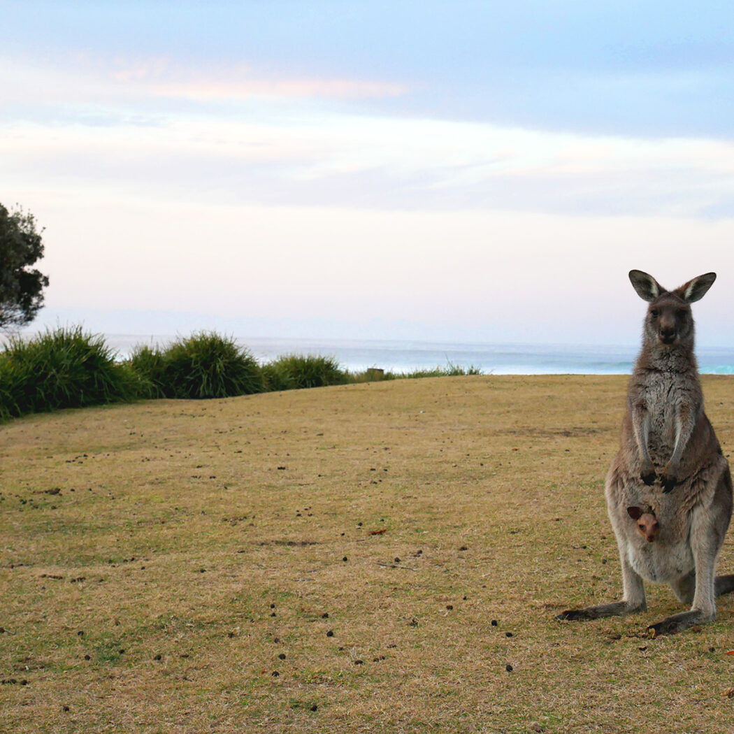 South NSW – 4 days trip from Sydney to Potato Point