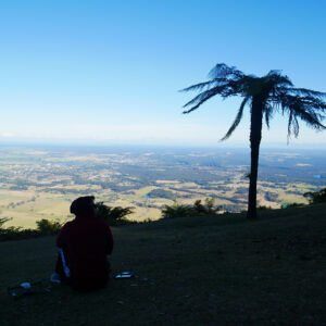 Cambewarra Mountain Lookout1