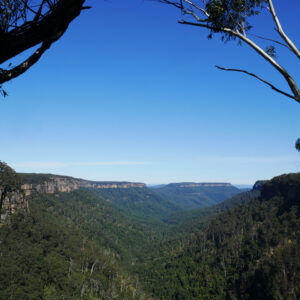 Fitzroy Falls