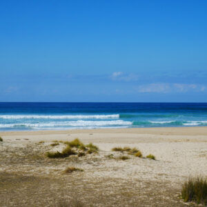 Potato Point Beach