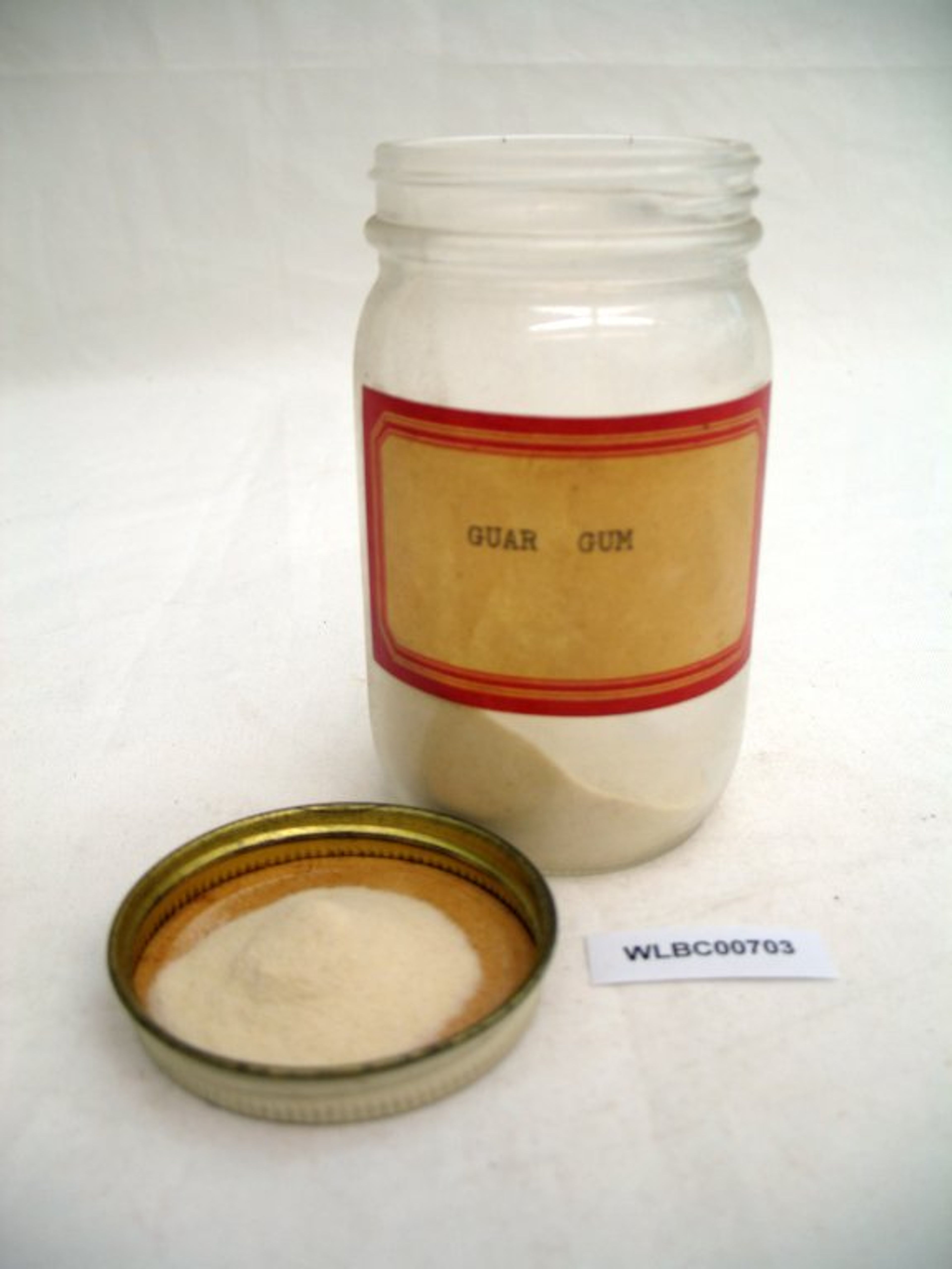 Cyamopsis tetragonoloba - 6