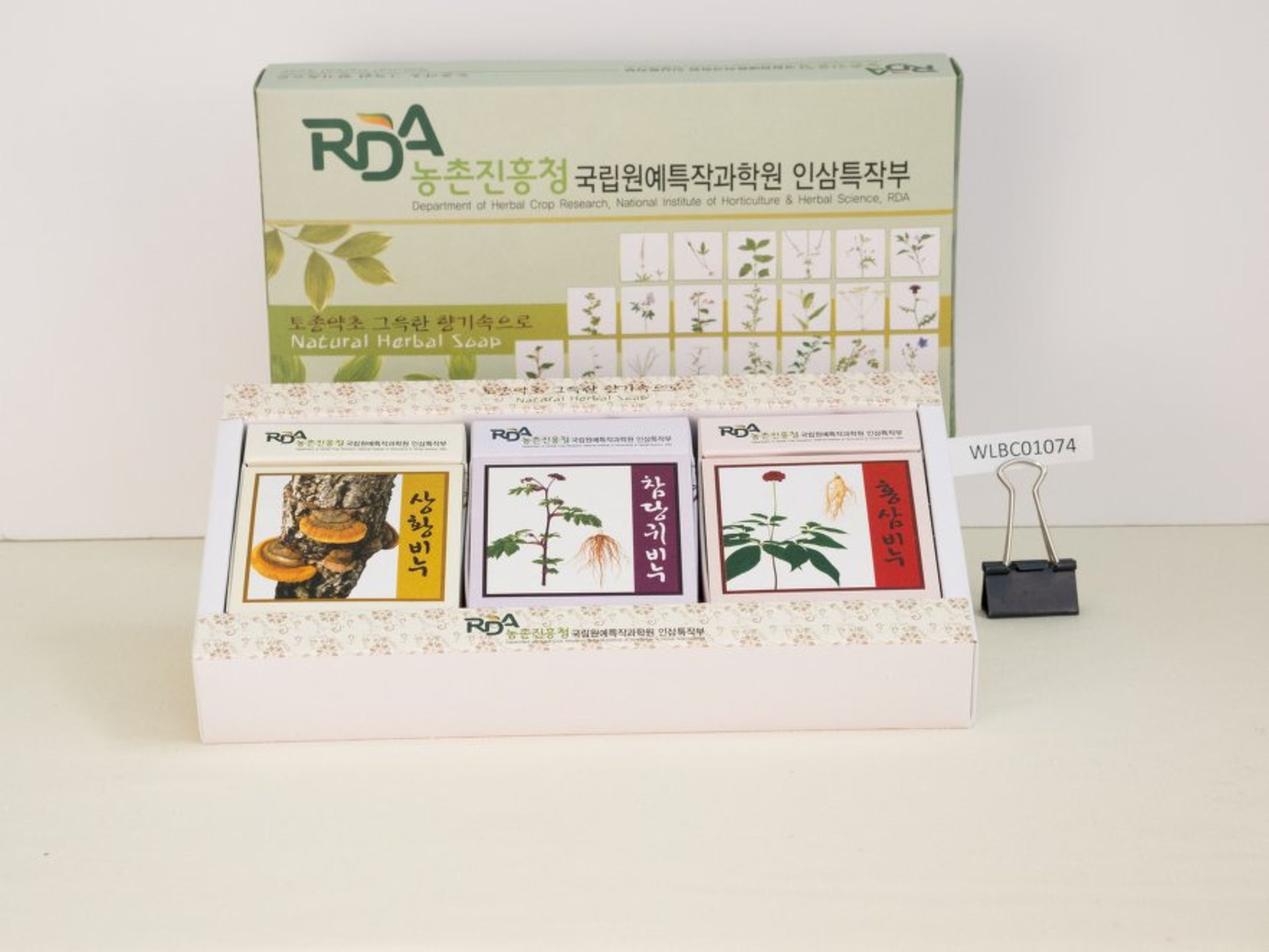 Panax ginseng - 86