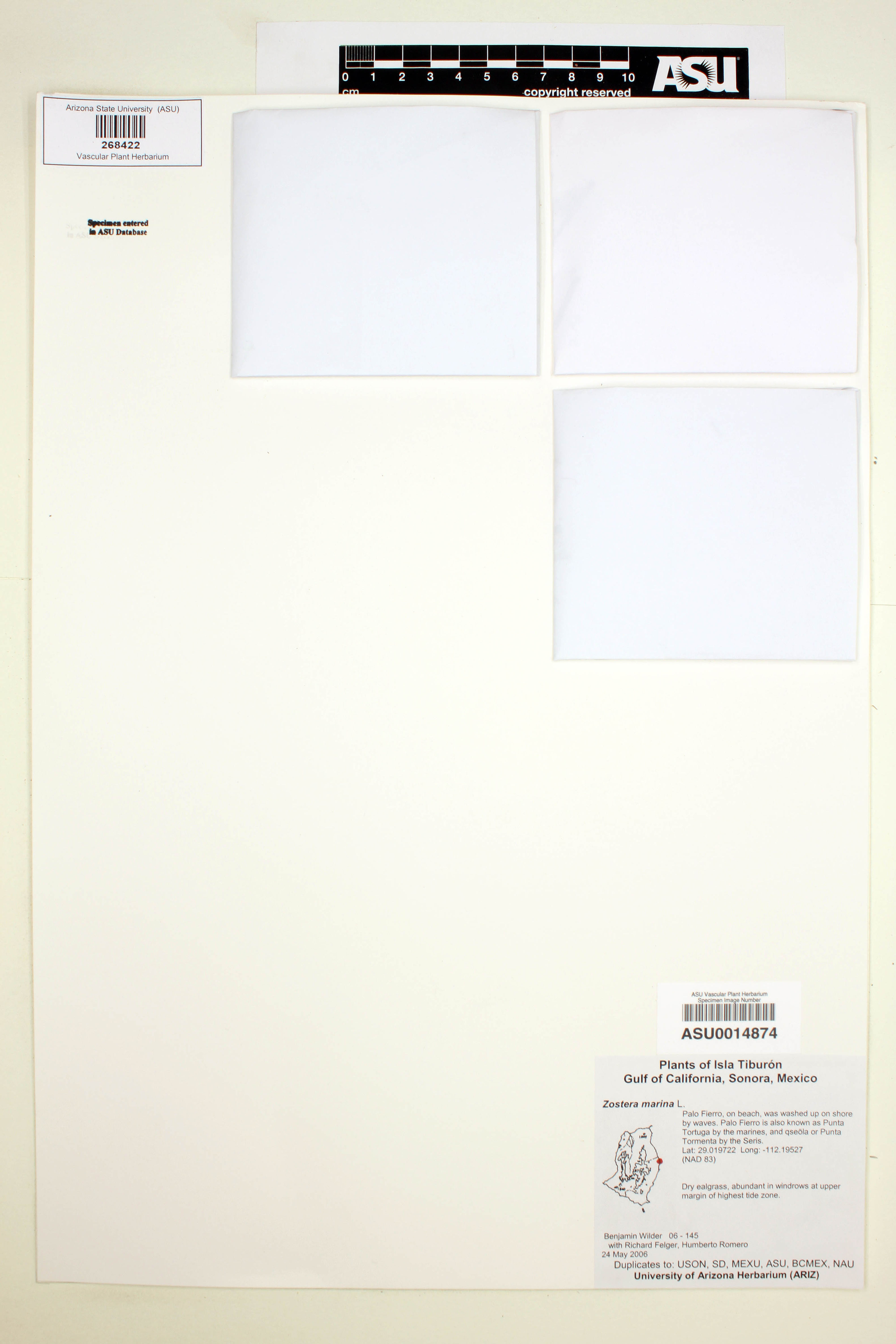 Uncategorized