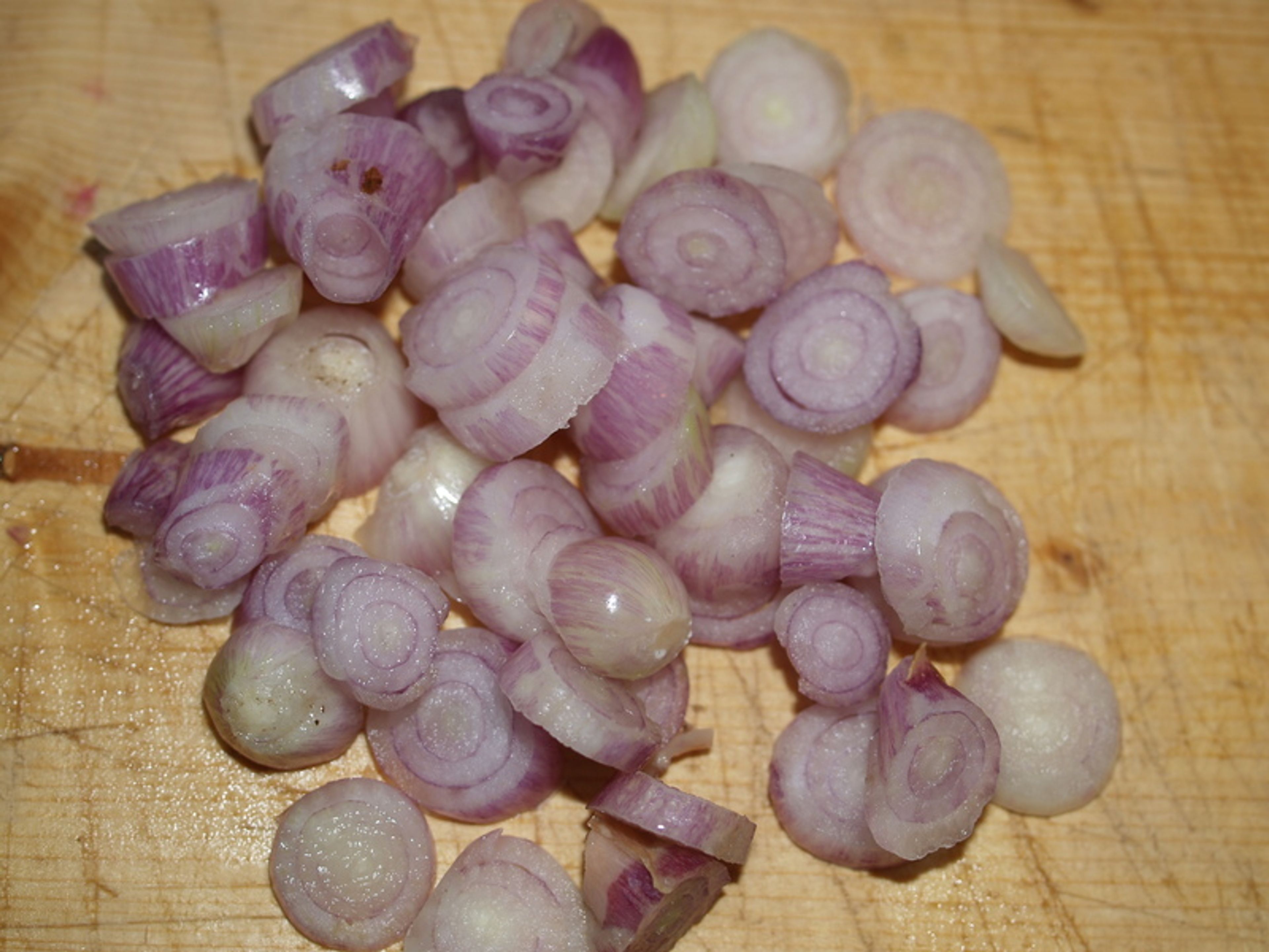 Allium oschaninii - 5