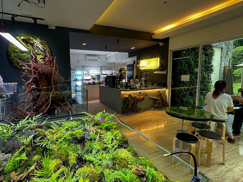 Armarda x Riumforest gallery