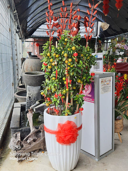 Florale Production Nursery (Klang) gallery