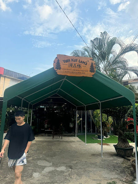 Yuen Kut Lam gallery