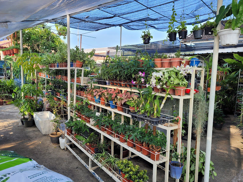 Gorgeous R&S Garden gallery