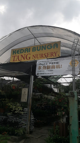 Tang Nursery gallery
