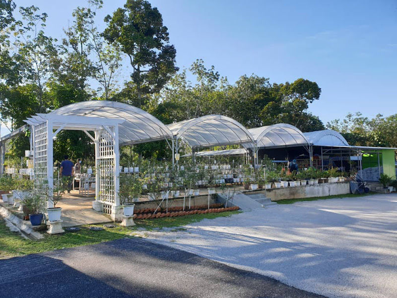 Taman Serungkai Mawar gallery