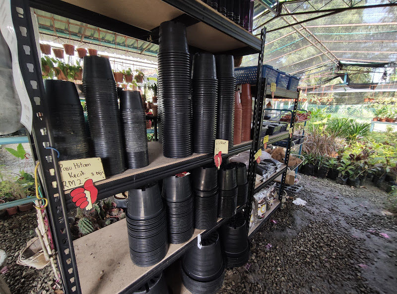 MRH Salsha Nursery gallery