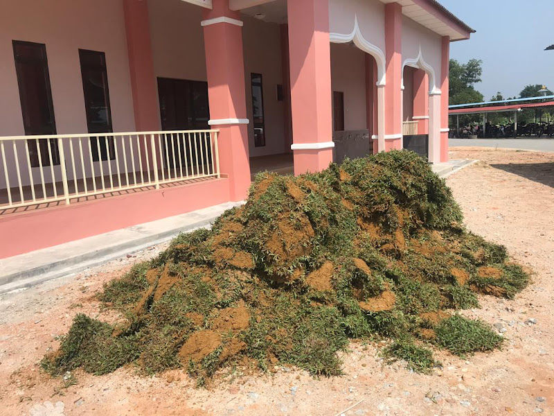 FD Garden Enterprise gallery