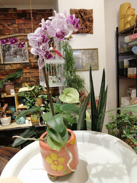 Cozy Lane Garden Center gallery