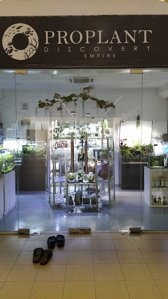 Armarda x Riumforest gallery