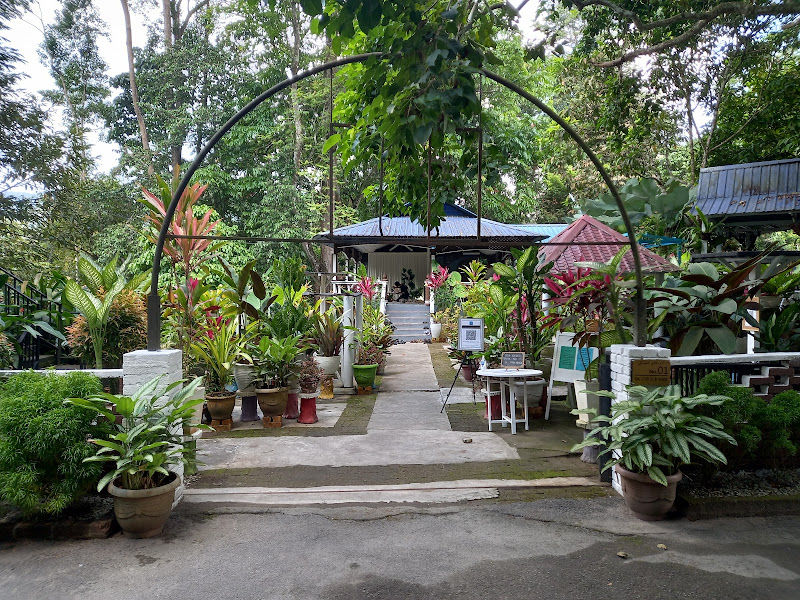 HQ Garden Nursery Farm