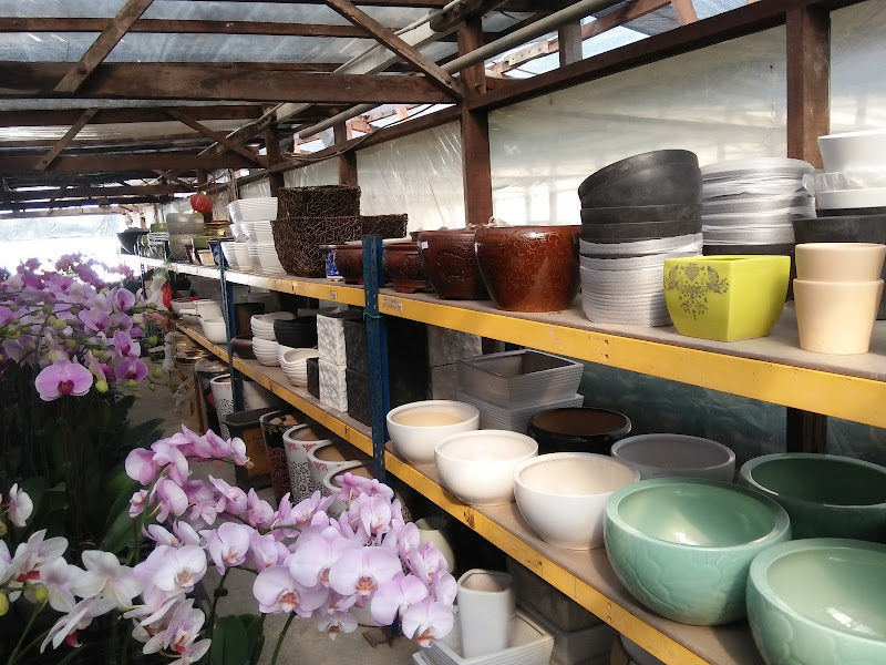 Sanyi Orchid Sdn Bhd gallery