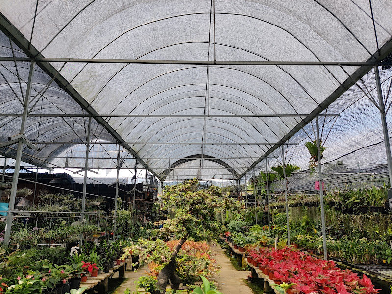 Wee Ta Enterprise(Nursery Plant BM) gallery