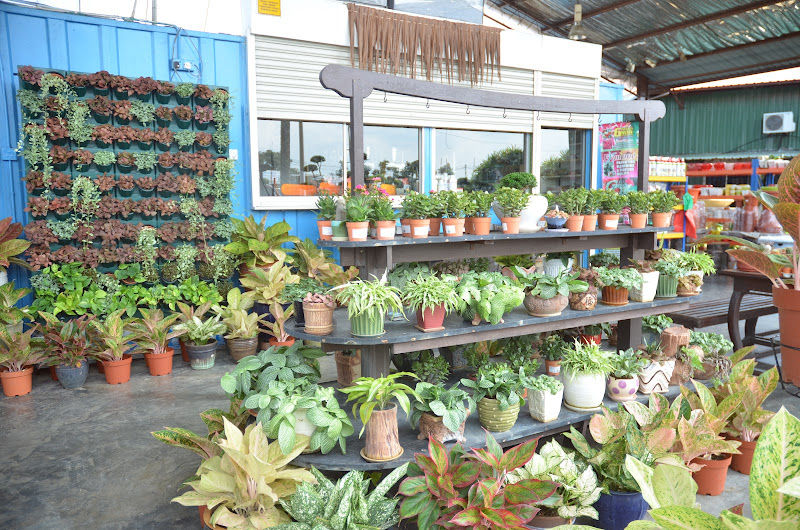 Yew Garden Sungai Buloh gallery