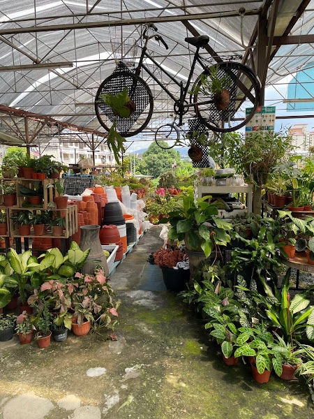 Atuk's Nursery By Weng Sheng Enterprise gallery