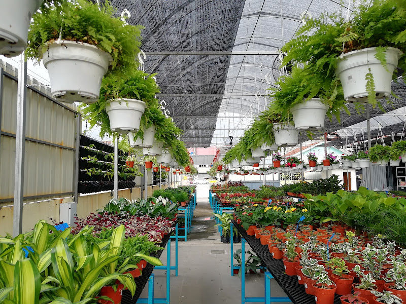 Lushflora.my Semenyih gallery