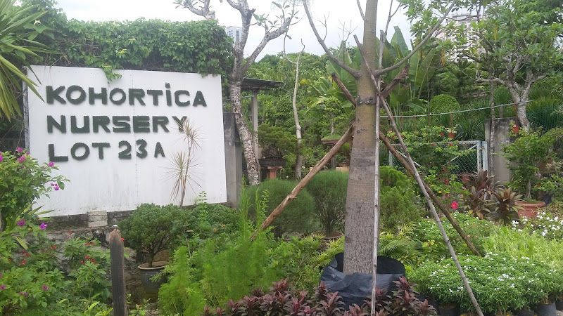Kohortica Nursery