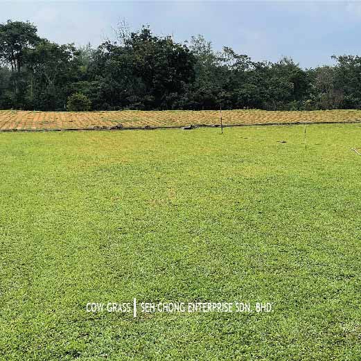 Seh Chong Enterprise Sdn.Bhd.