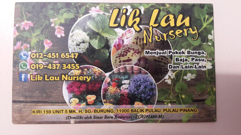 Lik Lau Nursery gallery